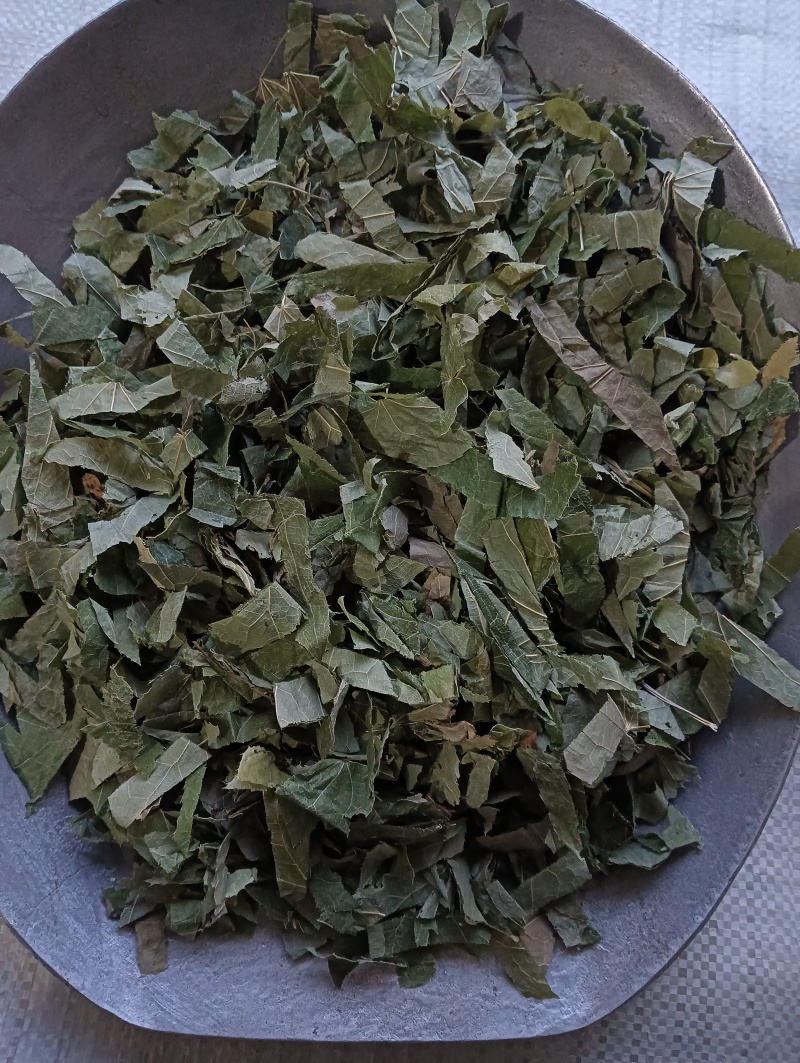 淫羊藿洋藿叶现货供应批发各种中药材量大优惠