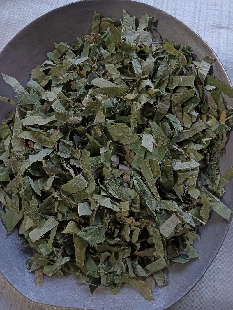 淫羊藿洋藿叶现货供应批发各种中药材量大优惠