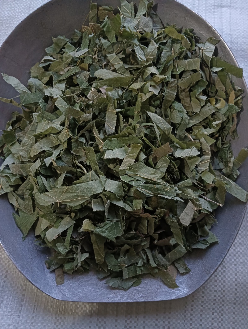 淫羊藿洋藿叶现货供应批发各种中药材量大优惠