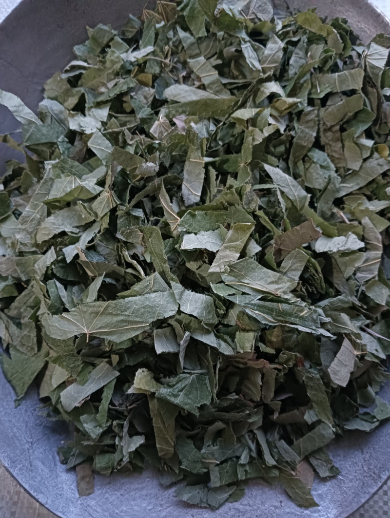 淫羊藿洋藿叶现货供应批发各种中药材量大优惠