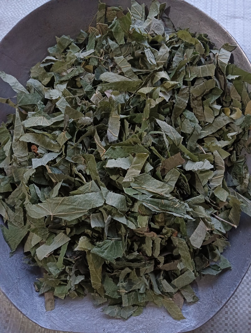 淫羊藿洋藿叶现货供应批发各种中药材量大优惠