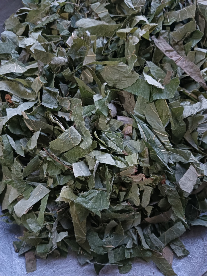 淫羊藿洋藿叶现货供应批发各种中药材量大优惠