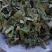 淫羊藿洋藿叶现货供应批发各种中药材量大优惠