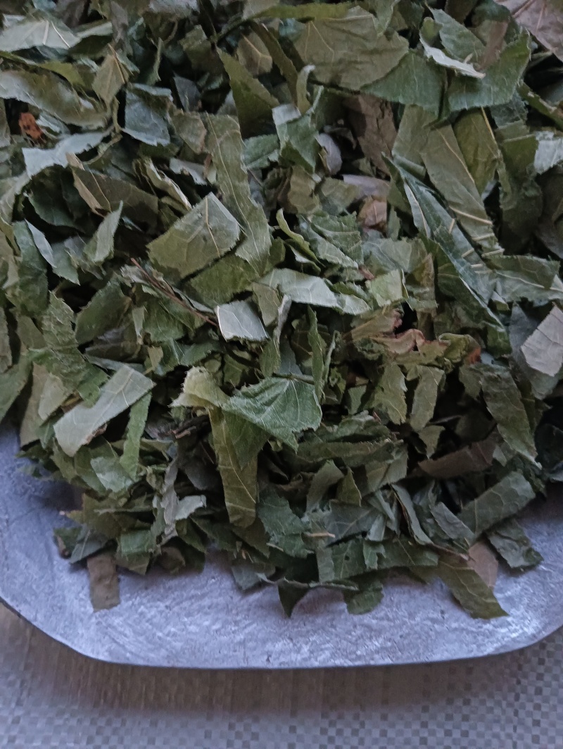 淫羊藿洋藿叶现货供应批发各种中药材量大优惠