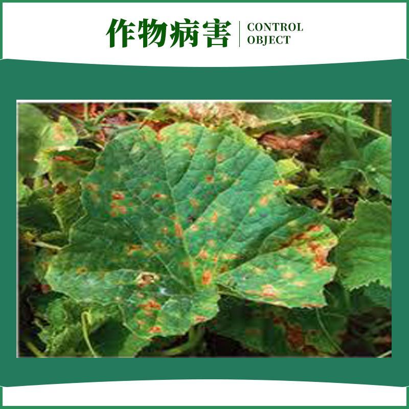 禾益爵斯325克/升苯甲嘧菌酯悬浮剂西瓜炭疽病农药杀菌