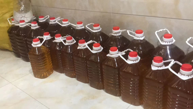 自家种植的山茶树，无污染的山茶油