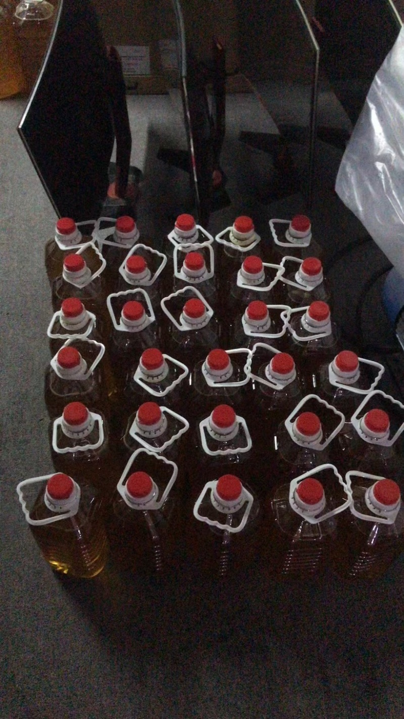 自家种植的山茶树，无污染的山茶油