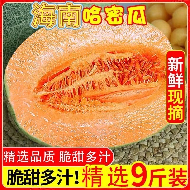 海南哈密瓜，电商一件代发社区团购