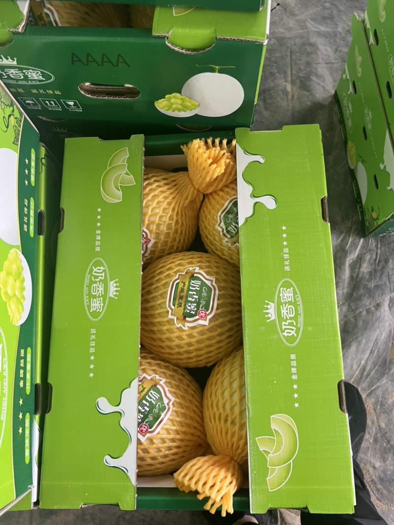 海南哈密瓜，电商一件代发社区团购