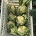 精品花菜大量现货对接全国各批发市场加工厂