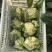 精品花菜大量现货对接全国各批发市场加工厂