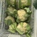 精品花菜大量现货对接全国各批发市场加工厂