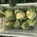 精品花菜大量现货对接全国各批发市场加工厂