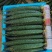 密刺黄瓜大吨位供应，有需求老板欢迎来电，对接各大商超市场