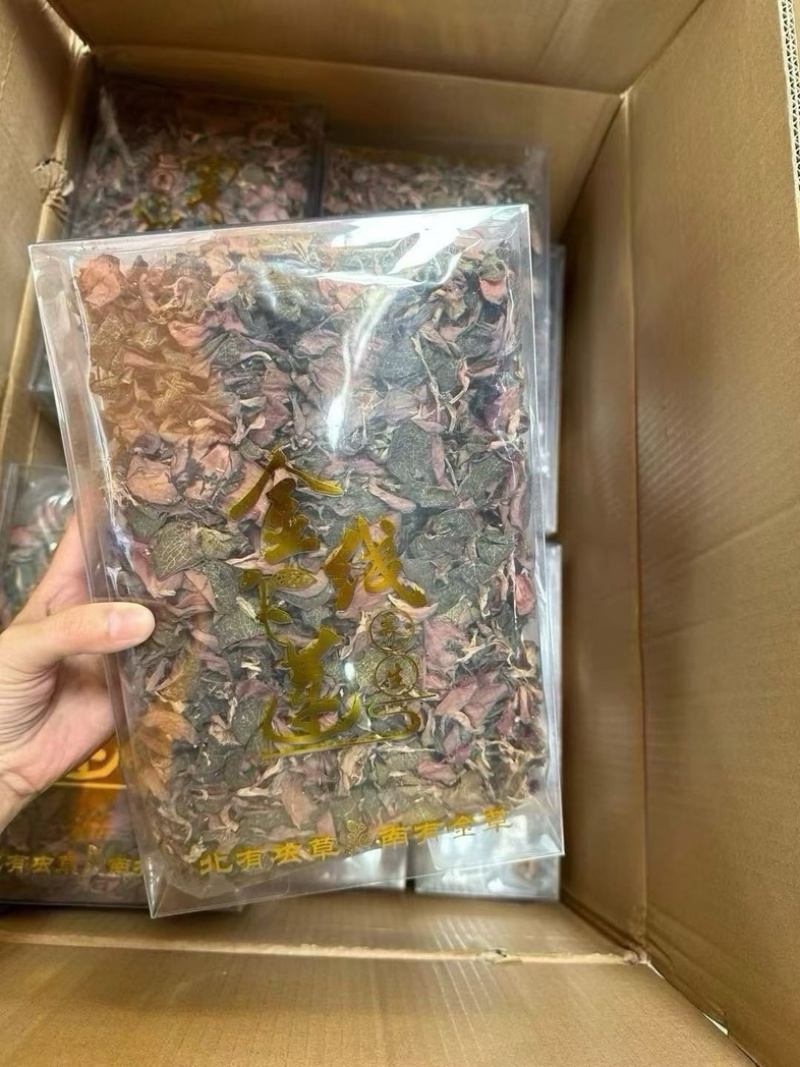 金线莲中药材林下防野生种植金线莲滋补养生货真价实