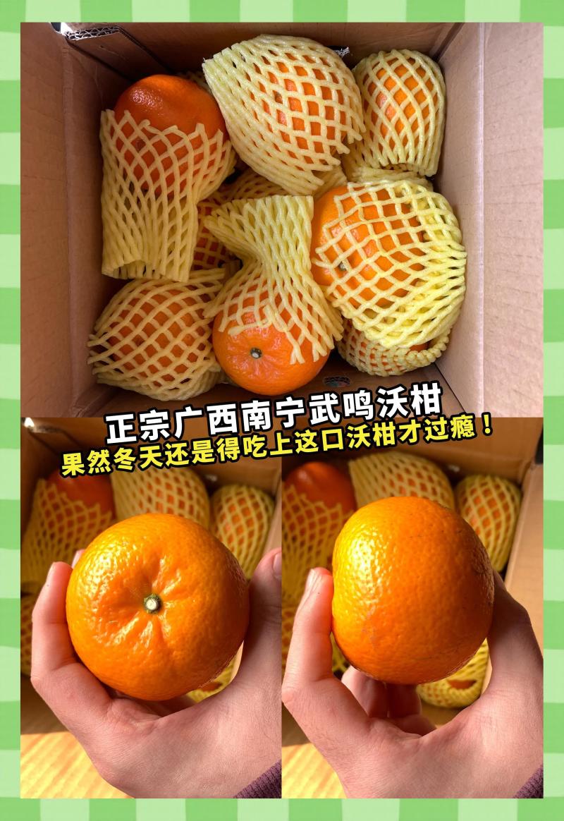 【电商】广西沃柑支持各大电商平台一件原产地发货