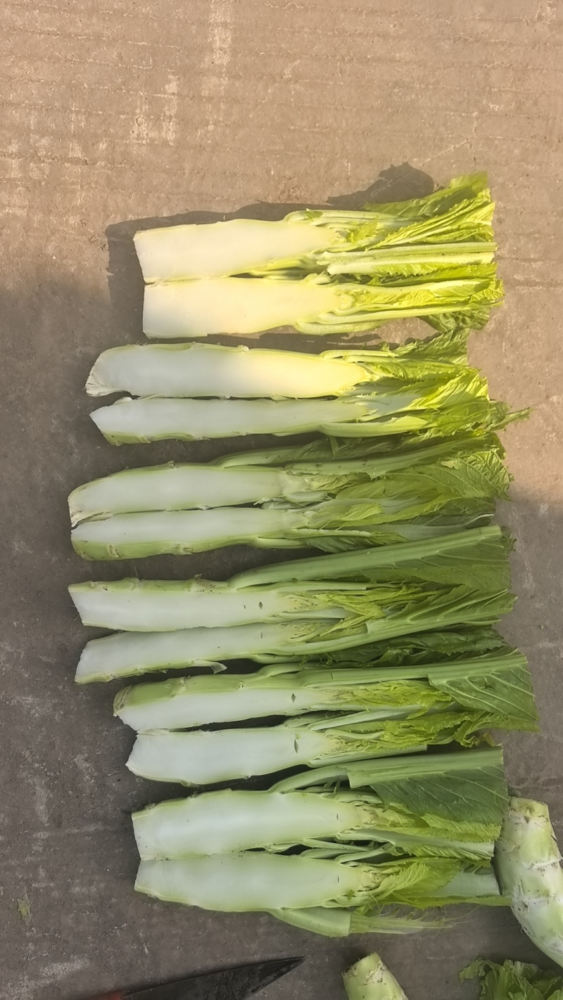 棒菜