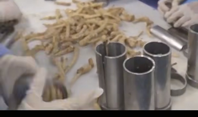 西洋参粉，精选优质西洋参须参丁打粉，确保没有杂质