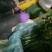 大荔密刺黄瓜陕西黄瓜带刺，电商货！价格合理需要联系我，