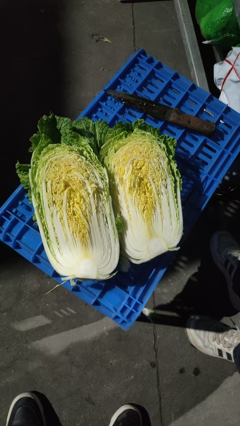 玲珑黄心大白菜