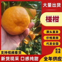 椪柑品质保证服务周到产地直发一手货源价格美丽