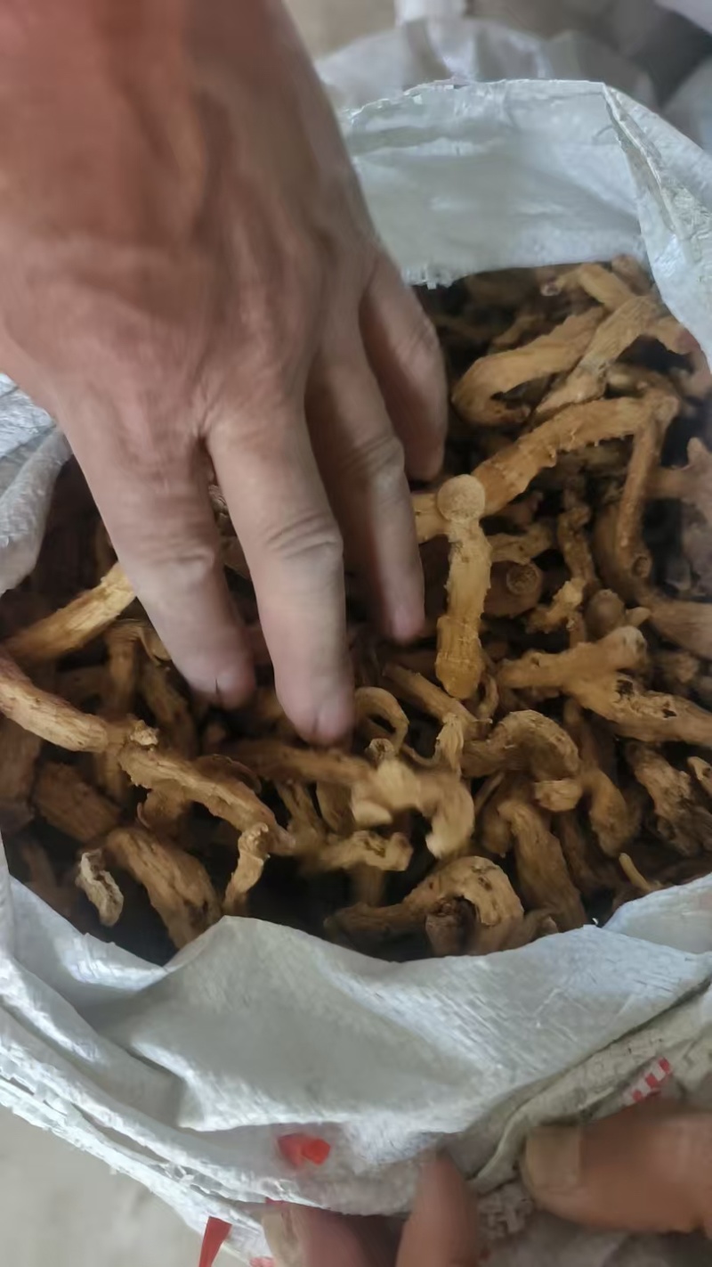 多花倒苗黄精干货，产品优质，量大从优，诚信经营，欢迎致电