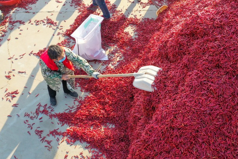 辣特香干辣椒