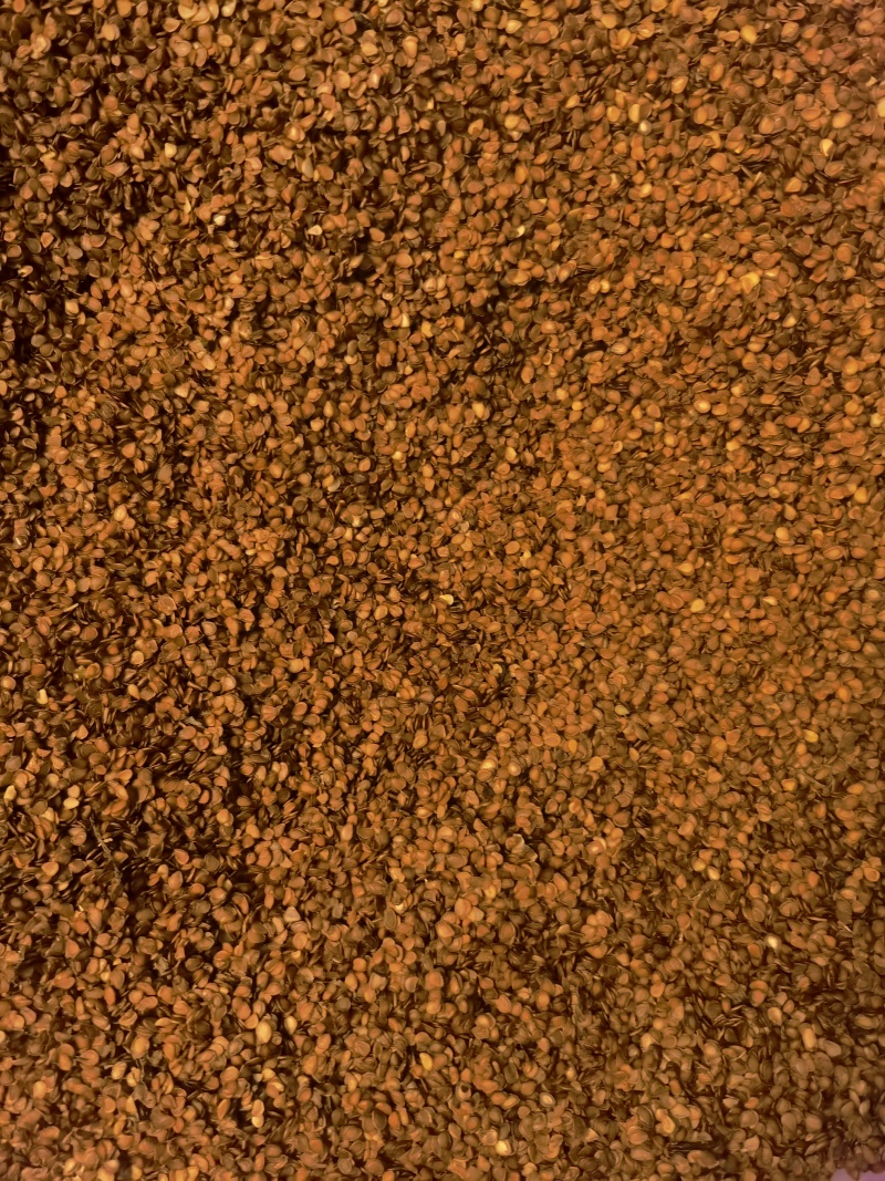 出售川贝母鳞茎，种子，