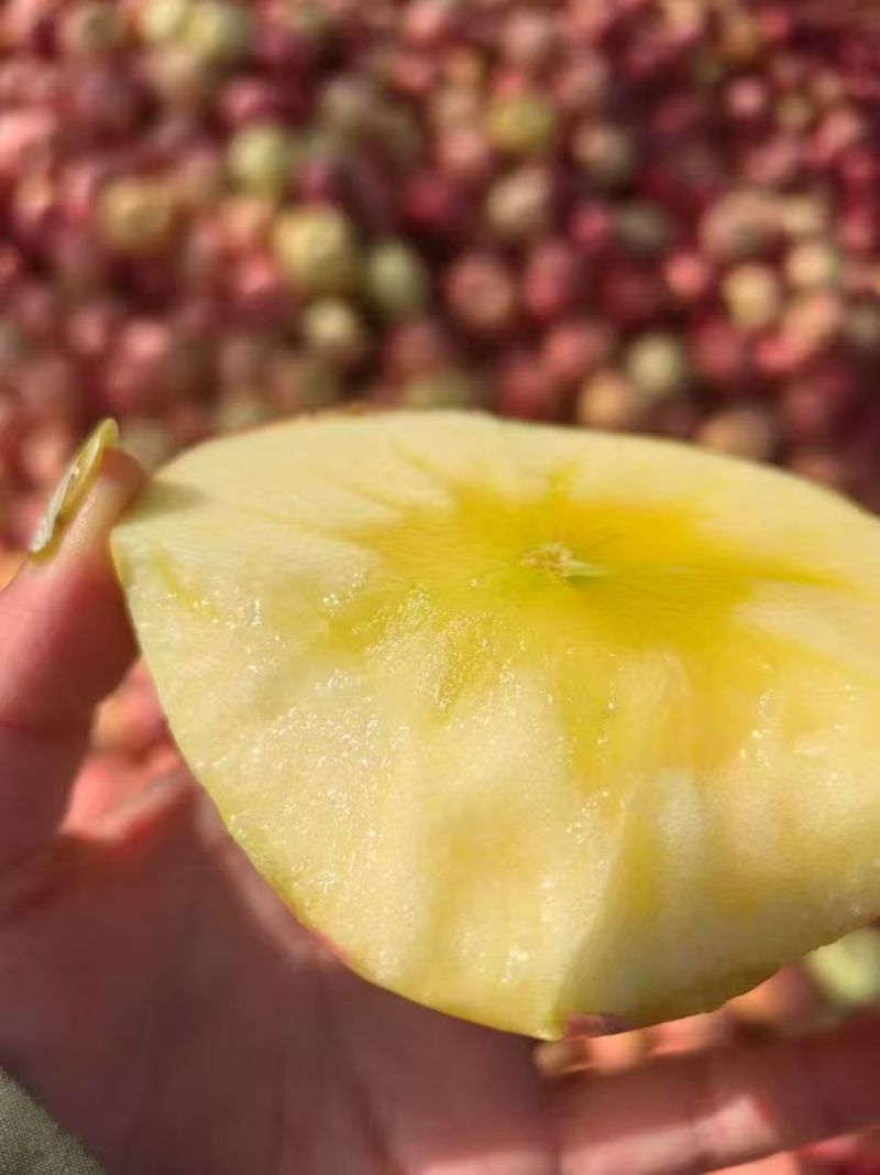 自有果园种植的新疆阿克苏苹果注册商标恒扬美