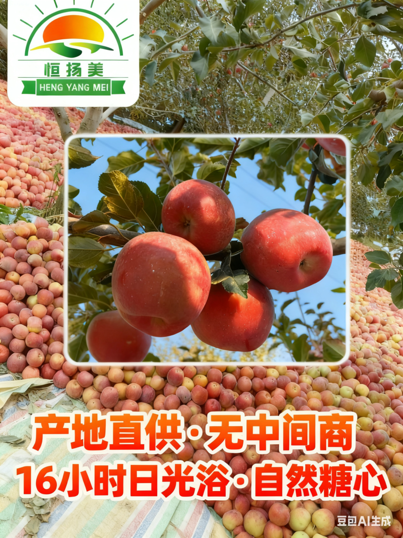 自有果园种植的新疆阿克苏苹果注册商标恒扬美