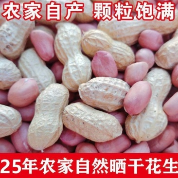 山东曹县产地直销干花生，生花生，带壳