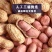 山东曹县产地直销干花生，生花生，带壳
