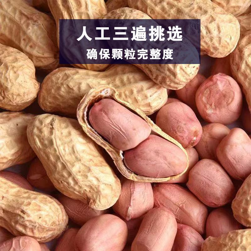 山东曹县产地直销干花生，生花生，带壳