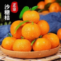 广西武鸣沙糖桔皮薄多汁对接各大电商支持一件代发商超