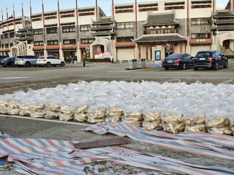 白萝卜新鲜上市