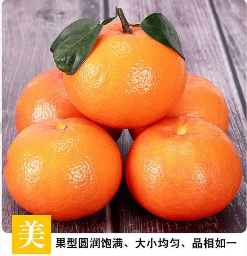 沃柑，湖南沃柑，量大从优，特别甜，万亩场地，快来呀!