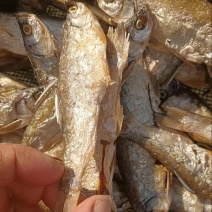 鱼干干鱼地摊电商批发开肚油炸白条鱼干