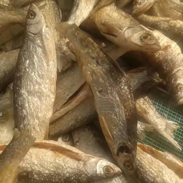 鱼干开肚油炸白条鱼干地摊电商油炸鱼兰刀鱼干