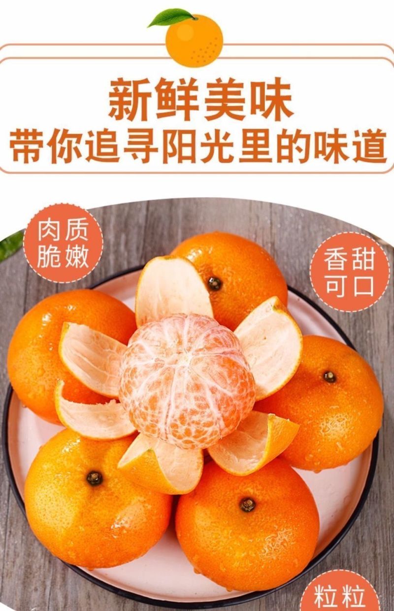 永州沃柑，湖南沃柑，特别甜，万亩场地，快来呀!