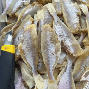 中号剥皮鱼干地摊电商批发超大号剥皮鱼干目肉鱼干干鱼