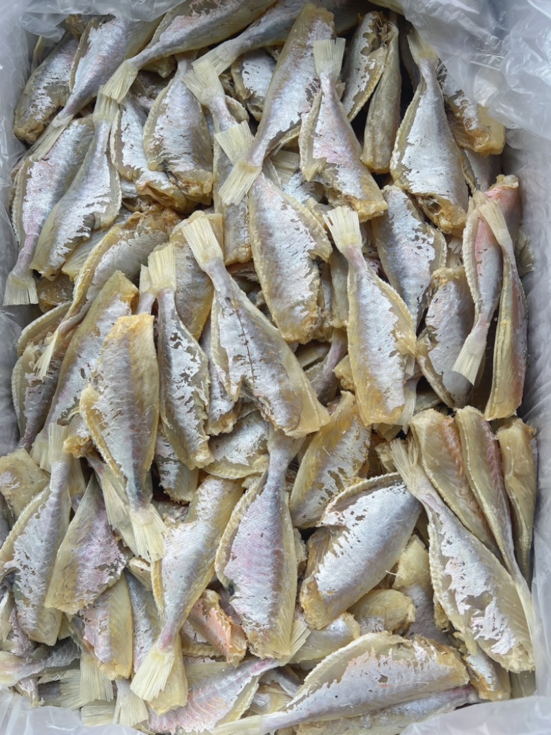 中号剥皮鱼干地摊电商批发超大号剥皮鱼干目肉鱼干干鱼