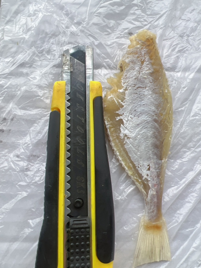 中号剥皮鱼干地摊电商批发超大号剥皮鱼干目肉鱼干干鱼