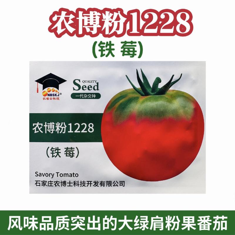 农博粉1228草莓番茄种子大果型绿肩水果番茄种籽高产抗病