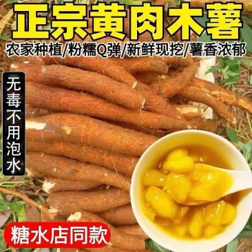 黄心木薯