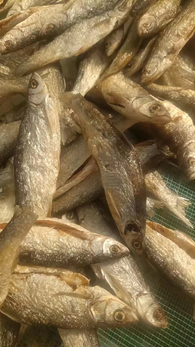精品油炸刁子鱼干地摊电商批发游刁白条翘嘴鱼干干鱼