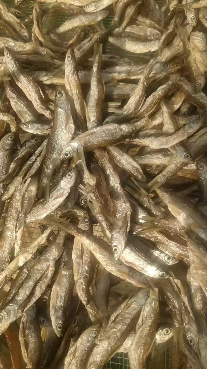 精品油炸刁子鱼干地摊电商批发游刁白条翘嘴鱼干干鱼