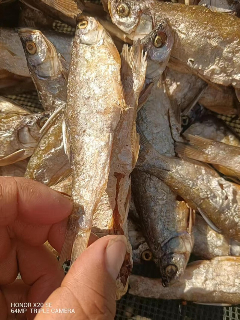 精品油炸刁子鱼干地摊电商批发游刁白条翘嘴鱼干干鱼