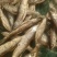 精品油炸刁子鱼干地摊电商批发游刁白条翘嘴鱼干干鱼