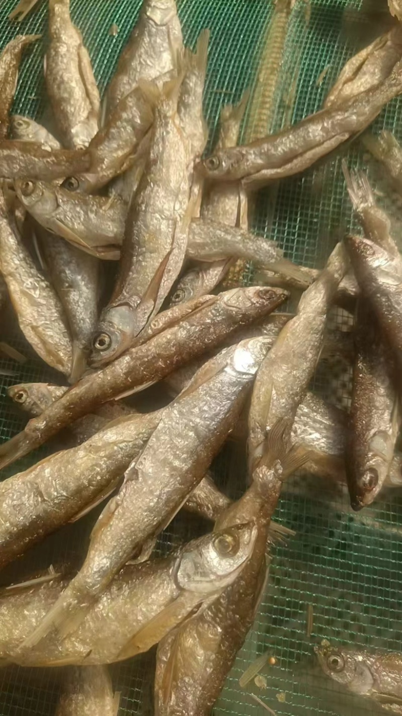 精品油炸刁子鱼干地摊电商批发游刁白条翘嘴鱼干干鱼