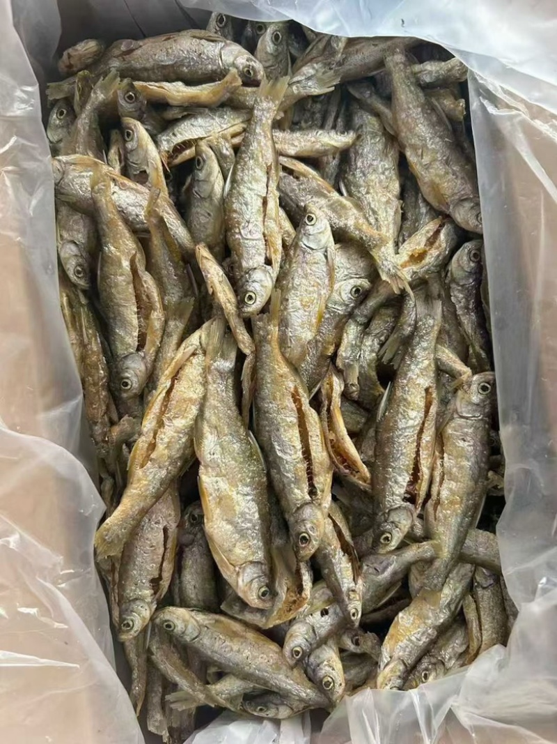 油炸鱼展会地摊油炸白肖鱼翘嘴鱼白条鱼油炸鱼干干鱼
